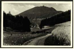 Berg-Lausche Bei Grossschönau / Sachs.  -  Ansichtskarte Ca.1934    (2305) - Grossschönau (Sachsen)