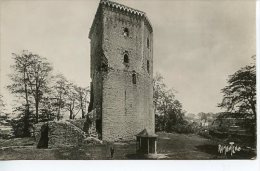 Orthez - Tour Moncade Débris Du Château Bâti Au XIIIè S. Par Gaston II - Noir Blanc - Orthez
