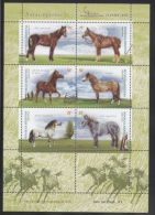 Argentina - 2000 Horses Kleinbogen MNH__(THB-1772) - Blokken & Velletjes