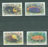Ascension - 1980 Fishes MNH__(TH-887) - Ascension (Ile De L')