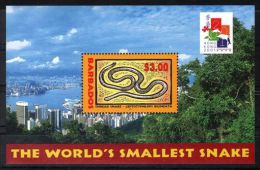 Barbados - 2001 Wire Snake Block MNH__(TH-3898) - Barbades (1966-...)