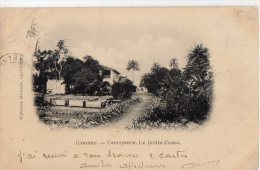 Afrique Noire  Guinée  Conakry:   Camayenne  Le Jardin D'essai   (voir Scan) - Guinée