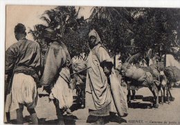 Afrique Noire  Guinée    Caravane De Petits ânes  (voir Scan) - Guinea