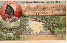 Afrique Noire  Guinée    Carte Colorisée  (sans Publicité)   (voir Scan) - Guinée