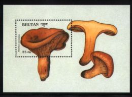 Bhutan - 1989 Mushrooms Block (5) MNH__(THB-1532) - Bhoutan