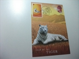 CARTOLINA MAXIMUM HONG KONG  CHINA  CINA  YEAR OF THE TIGER - Tigres