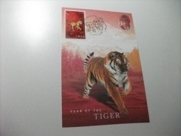 CARTOLINA MAXIMUM HONG KONG  CHINA  CINA  YEAR OF THE TIGER ROSSA - Tigri