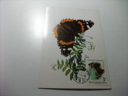 CARTOLINA MAXIMUM FARFALLA  BUTTERFLY ATALANTA LEPKE VANESSA ATALANTA - Papillons