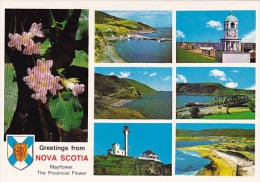 Canada Nova ScotiaGreetings From Nova Scotia The Mayflower Nova Scotias Provincial Flower - Autres & Non Classés