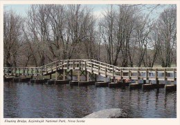 Canada Nova Scotia Floating Bridge Kejimkujik National Park - Sonstige & Ohne Zuordnung