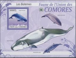 COMORES SHEET IMPERF WHALES MARINE LIFE - Baleines