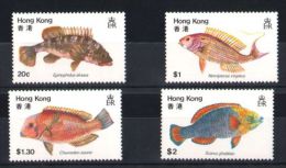 Hong Kong - 1981 Fishes MNH__(TH-10906) - Ongebruikt