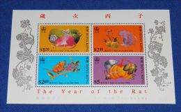 Hong Kong - 1996 Year Of Rat Block MNH__(THB-3905) - Blocchi & Foglietti
