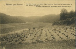 Bohan Sur Semois :   ( Regarder Verso Reclame Tabac - Tabak ) - Autres & Non Classés