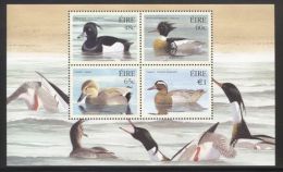 Ireland - 2004 Ducks Block MNH__(THB-3571) - Hojas Y Bloques