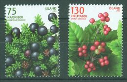 Iceland - 2006 Berries MNH__(TH-9054) - Neufs