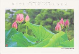 AKJP Japan Postcards Takamatsu - Ritsurin Garden  - Lotus Flowers - Cherry Blossom - Crane - Tea Ceremony House - Collezioni E Lotti