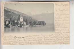 CH 3653 OBERHOFEN, Ansicht Vom See, 1903 - Oberhofen Am Thunersee