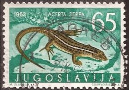 1962 X  JUGOSLAVIJA JUGOSLAWIEN  FAUNA AMPHIBIEN REPTILIEN  USED - Used Stamps