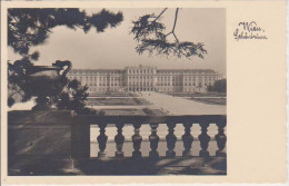 (OS846) WIEN. SCHLOSS  SCHONBRUMM - Schloss Schönbrunn