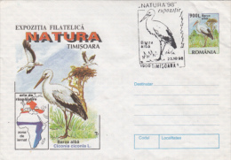 BIRDS, STORKS, COVER STATIONERY, ENTIER POSTAL, 1998, ROMANIA - Ooievaars