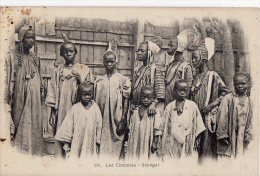 Afrique Noire     Sénégal     Les Circoncis  (Voir Scan  ) - Sénégal