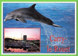 CARRY LE ROUET / VUE + DAUPHIN.... / Carte Vierge - Carry-le-Rouet