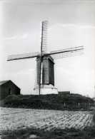 KORTEMARK (W.Vl.) - Molen/moulin - De Koutermolen, Kort Na De Restauratie Van 1964-1966 - Kortemark