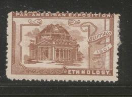 USA 1901 BUFFALO PAN AMERICAN EXHIBITION TYPE 10 POSTER STAMP HM ETHNOLOGY BROWN - Cartes Souvenir