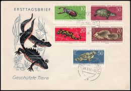 Germany GDR 1963 , Cover "Protected Animals" - Lettres & Documents