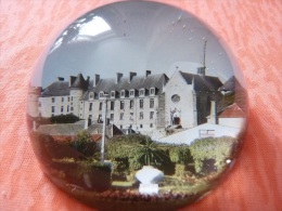 Presse Papier En Verre Le Château De La Palisse Vue Des Jardins - Sonstige & Ohne Zuordnung