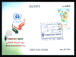 EGYPT / 2013 / UN / UNEP / WORLD ENVIRONMENT DAY / GLOBE / MAP / NUTRITION / FISH / VEGETABLES / FRUITS / FDC / 3 SCANS - Briefe U. Dokumente