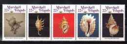 Marshall Islands - 1986 Shells MNH__(TH-7044) - Islas Marshall