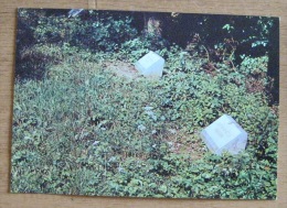 Bulgaria - Antonovo Le Ravin Des Partisans "Bogitza" Partisan Valley "Bojitza" Das Partisanental "Bozhiza" 1980 - Cimiteri Militari