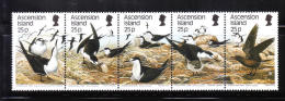 Ascension 1988 Birds Behaviours Of Wideawake Tern Strip MNH - Ascension