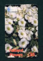 FALKLAND ISLANDS - Remote Phonecard As Scan - Falklandeilanden