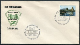 1967 Iceland Filex '67 Stamp Exhibition Reykjavik Cover - Lettres & Documents
