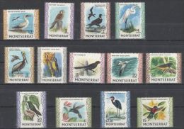 Montserrat - 1970 Birds MNH__(THB-52) - Montserrat