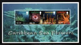 Montserrat - 2006 Sea Flowers Kleinbogen MNH__(THB-3068) - Montserrat