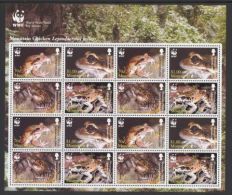 Montserrat - 2006 Antilles Bullfrog Sheet MNH__(THB-1107) - Montserrat