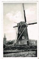 "Domburg - Molen" - Domburg