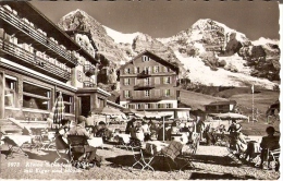 4274/A/FG/13 - KLEINE SCHEIDEGG (SVIZZERA) - Particolare - Egg