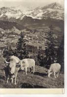 SUISSE - CHARME ET SPLENDEURS DE VILLARS - LES ALPES VAUDOISES - Villars-les-Moines