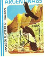ARGENTINA 1985 Buenos Aires Kondor-Flug Kuba 2953 Plus Block 90 O 9€ Blocchi Hoja M/s Philatelic Bloc Bird Sheet Of Cuba - Blokken & Velletjes