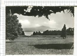 Delcampe - GLAND  Près  NYON  -  LA LIGNIERE - Le Parc - Etablissement Médical Diététique - - Nyon