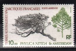 French Southern And Antarctic Territories - 1980 Tree MNH__(TH-2145) - Nuevos