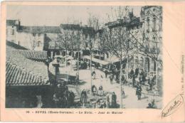 Carte Postale Ancienne De REVEL - Revel