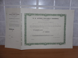 SCRIPOFILIA CERTIFICATO AZIONARIO ACQUE POTABILI LESSONA 1935 - Acqua