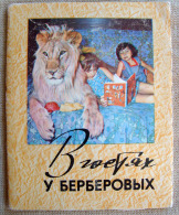 Delcampe - USSR. LION Of Berberov Family . 15 Postcards Set. Grand Format . 1973 - Leeuwen