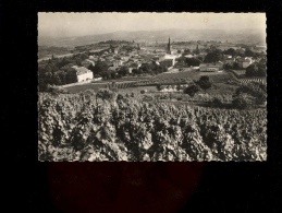 LE BOIS D'OINGT Rhône 69 : Le Village Vu Des Vignobles Vignes Beaujolais - Le Bois D'Oingt